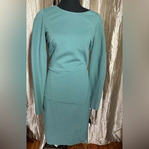 NEW Carlisle (Sage Dress has stretch NO OFFERS